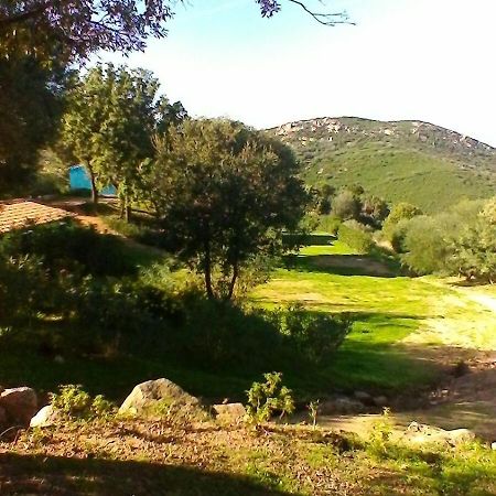 Farm Stay Gli Oleandri Loiri Porto San Paolo Exterior foto