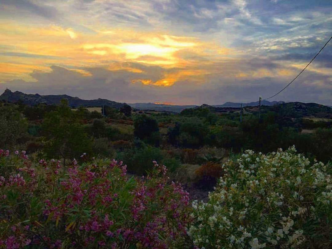 Farm Stay Gli Oleandri Loiri Porto San Paolo Exterior foto